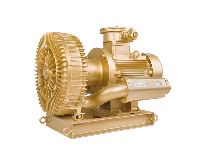 1 Side Channel Blower (2)