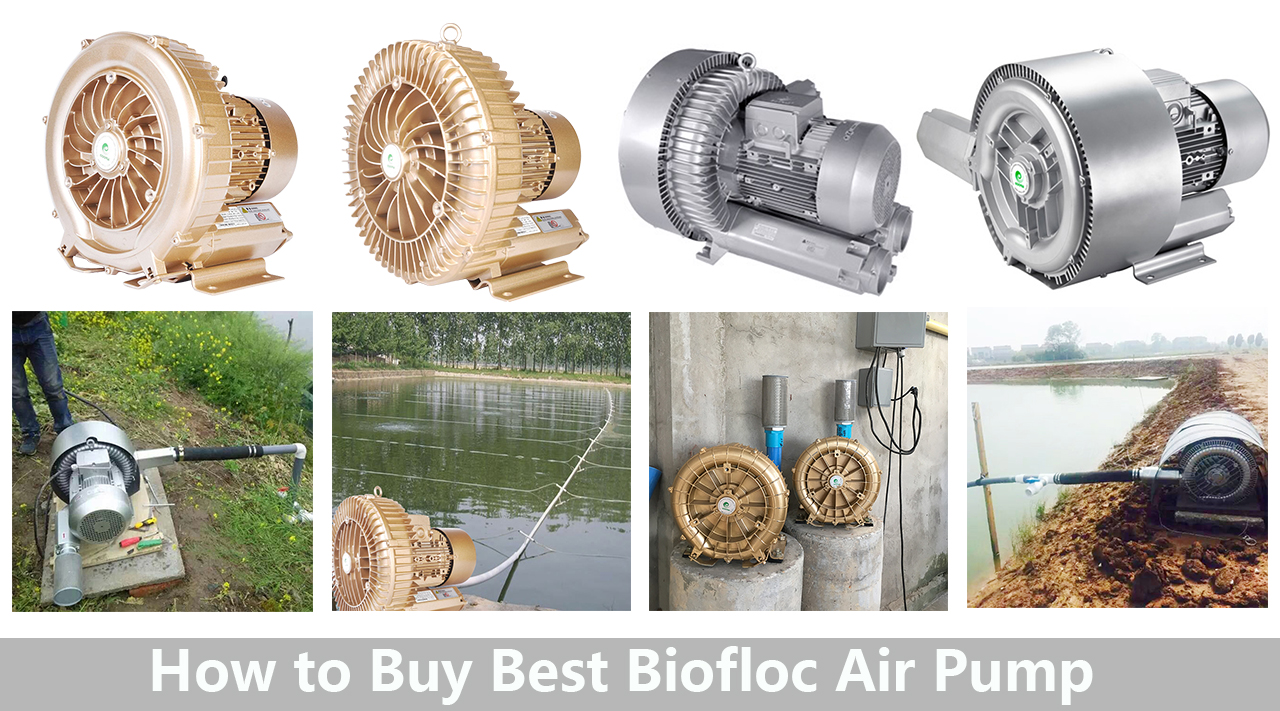 Fish Farm Air Pump, Sewage Treatment Air Pumps